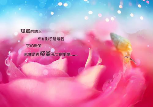 生命的初与终