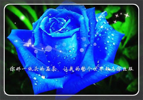 爱国卫生日的名言警句