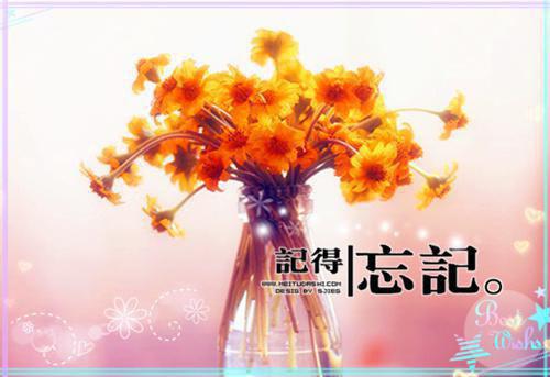 描写百合花的抒情散文400字