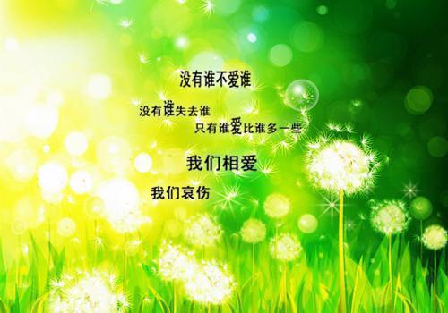 二年级上学期简短学生评语(精选3篇)