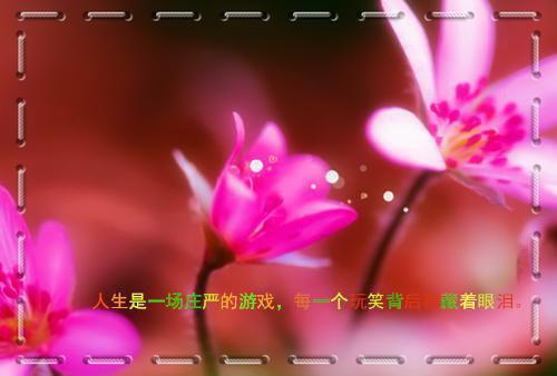 给真千金让位后，全家慌了姜言许楠江辰小说_给真千金让位后，全家慌了完结版阅读