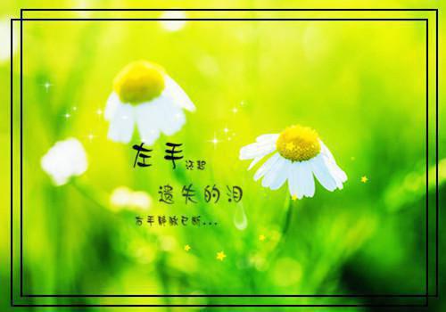 初中生学生自我评价范文（精选3篇）