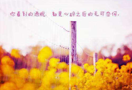 心的第七次颤动结局+番外（姜颜苏砚）全文免费阅读无弹窗大结局_(心的第七次颤动结局+番外姜颜苏砚)最新章节列表_笔趣阁（姜颜苏砚）