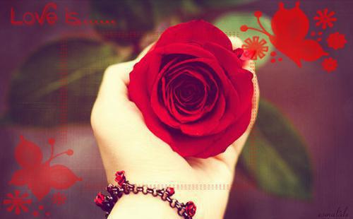 秋日失约免费苏闵添,小三,顾先生小说_秋日失约免费完结版阅读