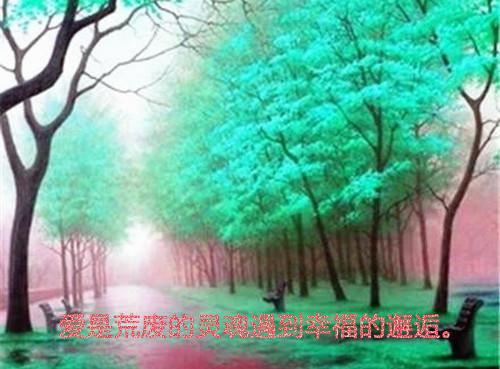 季寒声沈清璇免费于春色暮晚相拥：结局+番外读无弹窗最新章节列表_笔趣阁(于春色暮晚相拥：季寒声沈清璇结局+番外)