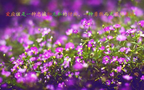 重生八零不要厂花奔西北：结局+番外（傅融祝孙婉芸：结局+番外）全本小说免费章节阅读_重生八零不要厂花奔西北：结局+番外最新章节列表_笔趣阁（傅融祝孙婉芸：结局+番外）