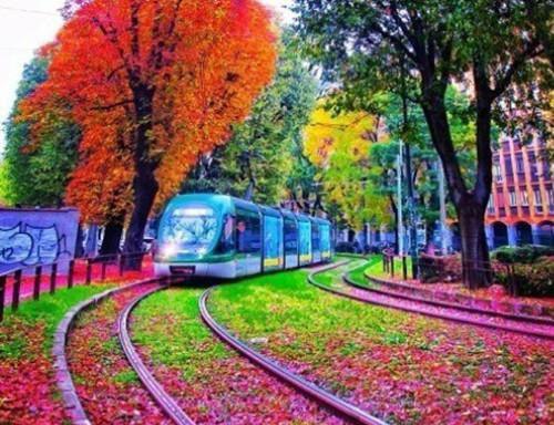 爱似烟火坠落江韫南程澈完结版全章节阅读