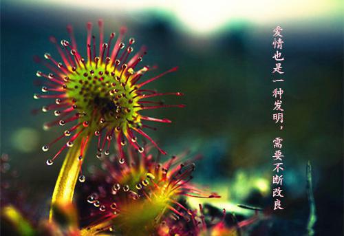 2023帅气的个性签名男生 很潮的男签名最新