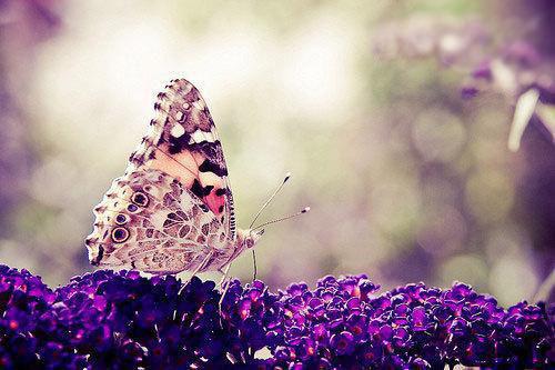 裴央央谢凛（陛下！娘娘又在后宫作妖了：+后续+结局）全集完整版已完结大结局_陛下！娘娘又在后宫作妖了：+后续+结局最新热点全文在线阅读（裴央央谢凛）