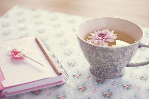 前言+后续动如参与商:大结局+后续无广告+置顶免费阅读无弹窗大结局_(纪音程非池)动如参与商:大结局+后续无广告+置顶最新章节列表