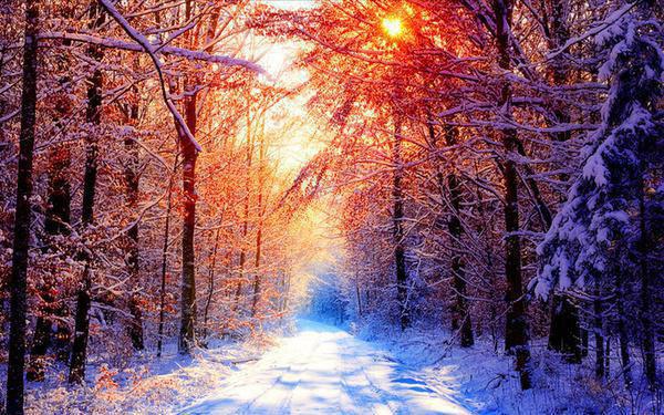 十年纠缠一场空：结局+番外（乔娜沈安）完结阅读无弹窗大结局_十年纠缠一场空：结局+番外免费阅读最新章节列表_笔趣阁（乔娜沈安）