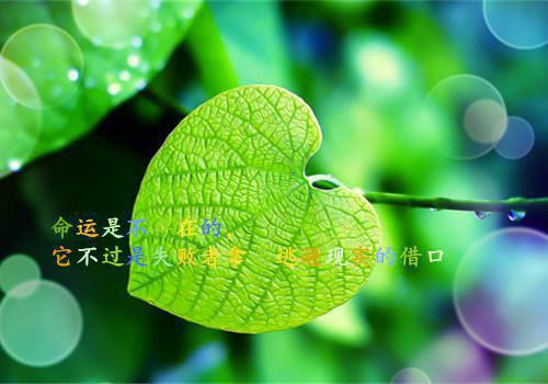 值得一看的好书籍排行榜