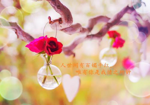 楚潇孟轲全文免费阅读(楚潇孟轲小说）全文免费阅读无弹窗大结局_ 楚潇孟轲小说楚潇孟轲免费阅读最新章节列表_笔趣阁（楚潇孟轲）