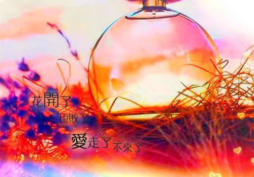 2007我在等待
