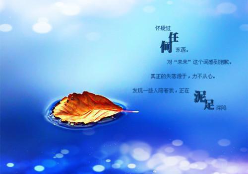 宋南夕周京泽（雪落再说爱你：结局+番外）全文免费阅读无弹窗大结局_(宋南夕周京泽雪落再说爱你：结局+番外)最新章节列表_笔趣阁（雪落再说爱你：结局+番外）