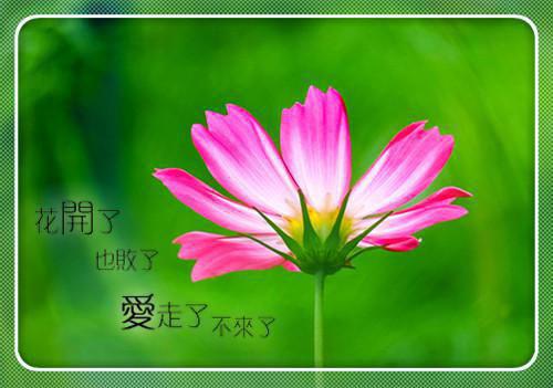 关于鲁迅的小故事