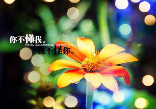 蒙特梭利教育幼儿园评语大全（通用15篇）