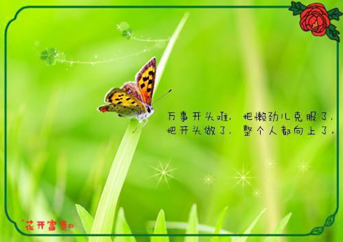 让人看了感动的句子