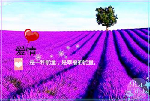 (番外)+(全文)容暖厉蛰曾似松树不负冬（容暖厉蛰）全文免费阅读无弹窗大结局_(曾似松树不负冬容暖厉蛰)曾似松树不负冬：结局+番外最新章节列表_笔趣阁（容暖厉蛰）