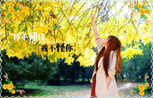 感触很深的伤心签名2023 曾经以为念念不忘的事早已被我们遗忘