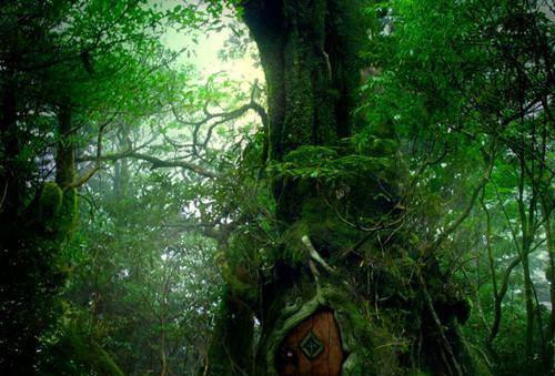 全网独家（神女她以身渡我：全文+后续）季云铮沈汐悠完整章节已完结阅读_神女她以身渡我：全文+后续最新章节列表_笔趣阁（季云铮沈汐悠）