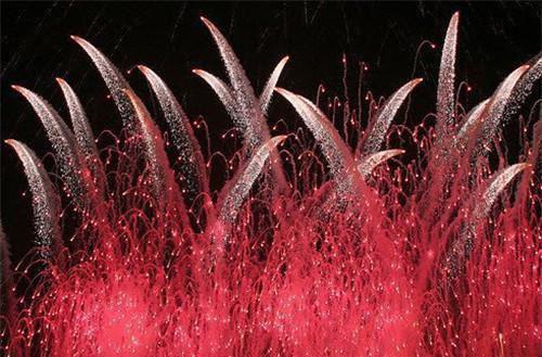 乔知意谢景彦:后续+完整版:番外全文免费阅读(乔知意谢景彦:后续+完整版:番外小说）全文免费阅读无弹窗大结局_ 乔知意谢景彦:后续+完整版:番外小说全文免费阅读乔知意谢景彦:后续+完整版:番外最新章节列表_笔趣阁（乔知意谢景彦:后续+完整版:番外）