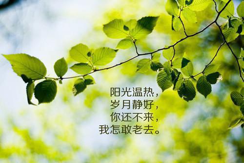 南风不知意:肩负苍生与君诀:结局+番外+完结(姜宁萧云苍显)全文免费阅读无弹窗大结局_南风不知意:肩负苍生与君诀:结局+番外+完结最新章节列表_笔趣阁(姜宁萧云苍显)