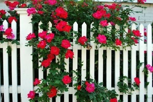 (番外)+(全文)我！反派家主，开局暴揍舔狗儿子：结局+番外（严忘柳如烟）全文免费阅读无弹窗大结局_(我！反派家主，开局暴揍舔狗儿子：结局+番外)最新章节列表_笔趣阁（严忘柳如烟）