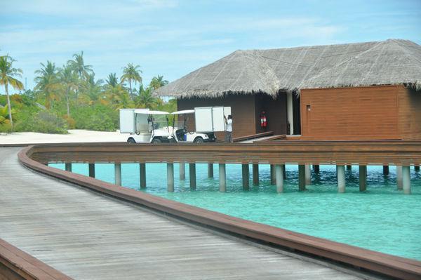 赵星竹谢慕青（春日迟迟不相逢：全文+后续+番外）全文免费阅读无弹窗大结局_(赵星竹谢慕青)赵星竹谢慕青最新章节列表_笔趣阁（春日迟迟不相逢：全文+后续+番外）