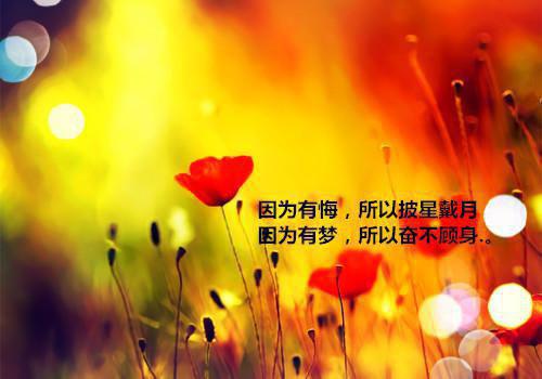 (番外)+(全文)苏晚陆月白（冬风与他皆无情：结局+番外）全文免费阅读无弹窗大结局_苏晚陆月白全文最新章节列表_笔趣阁（冬风与他皆无情：结局+番外）