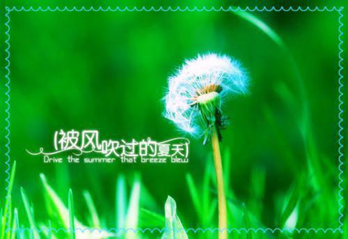 一句话2023简单心情签名精选 我以为我的温柔能给你整个宇宙