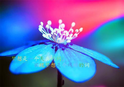 重生八零：团长农媳逃婚指南彭招娣小说_重生八零：团长农媳逃婚指南免费阅读