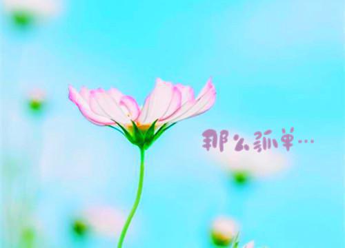 英文新开业祝福语
