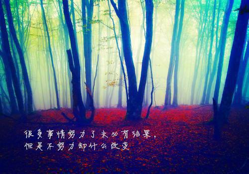 小学家长成绩单评语（精选5篇）