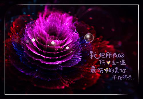 浅柚配图乔言心沈以棠傅斯年卢晚晚小说_浅柚配图完结版阅读