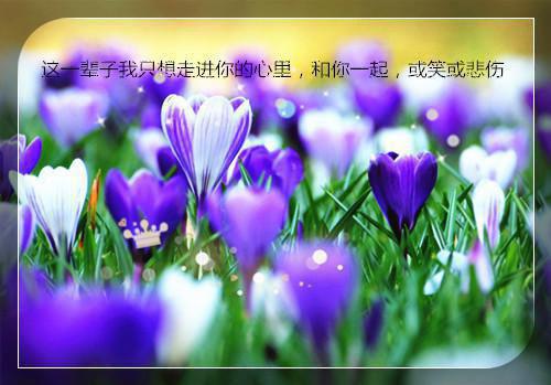 鼓励自己团队的话语