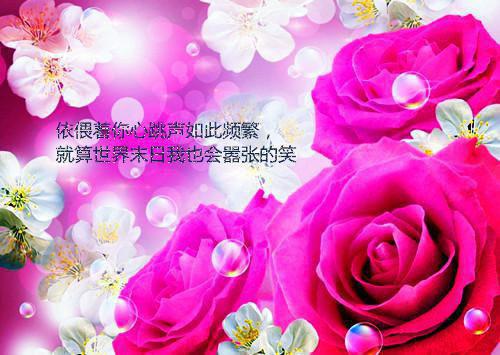 小说死生不见，从此音尘悄然主角为裴书璟程念安陆心瑶司锦年免费阅读