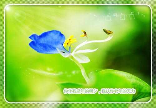 林语姝南容璟麻想,容璟,仵作小说_林语姝南容璟免费阅读