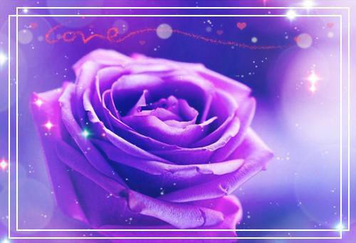 最新章节影后的承诺：+后续+结局优质全章（陆时衍苏清鸢）_影后的承诺：+后续+结局优质全章陆时衍苏清鸢最新章节