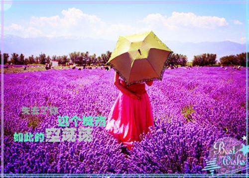 网恋失败后我成了全网白月光：结局+番外（网恋失败后我成了全网白月光：结局+番外）全文免费阅读无弹窗大结局_祝南音贺祁临免费阅读最新章节列表_笔趣阁（网恋失败后我成了全网白月光：结局+番外）