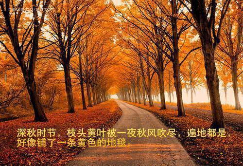 周一上班祝福短信