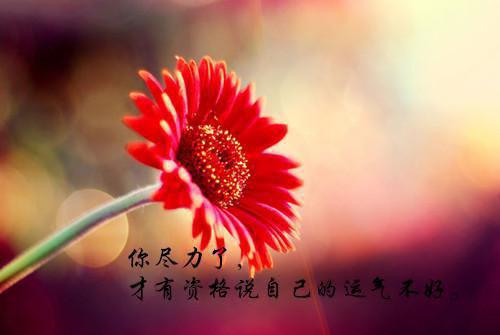 幼儿园小班宝贝第二学期评语