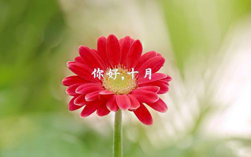 莫名的感到郁闷的伤感签名 你或许来过像一场烟火