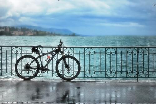 迹月的小说_通我给小叔子买房，我先送他们全家进病房慕淮小说阅读