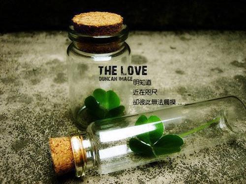 秦蓁全章节_海岛求生：真千金她为何总是霸榜+番外小说阅读