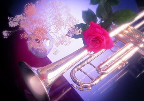 完结版小说第一千零一次说爱你正版第7章阅读