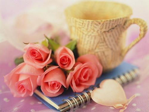 (番外)+(结局)情浓时逢幽雾：全文+结局+番外（程桦苏楠染）完整全文在线阅读_(情浓时逢幽雾：全文+结局+番外)最新章节列表_笔趣阁（程桦苏楠染）