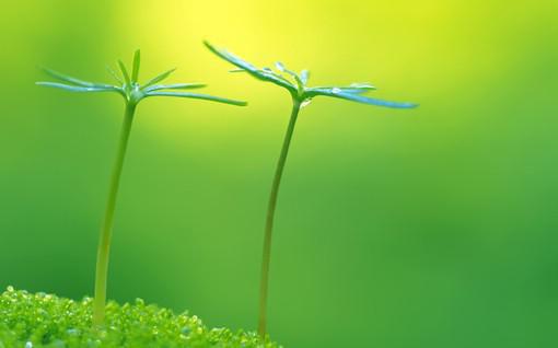 (番外)+(全文阅读)回首酣然惆怅客小说后续+大结局免费下载阅读_(贺万宁陆知恒)高分小说回首酣然惆怅客：结局+番外+完结最新章节列表_笔趣阁（贺万宁陆知恒）