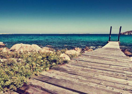 长作文评语（通用17篇）