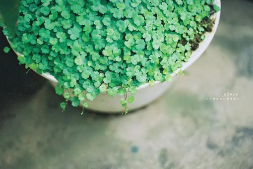 初中生差生品德评语（通用32篇）